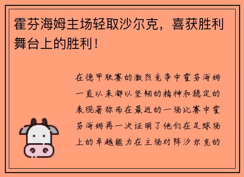 霍芬海姆主场轻取沙尔克，喜获胜利舞台上的胜利！